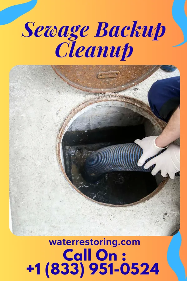 Sewage Backup Cleanup in Wallingford Center, CT